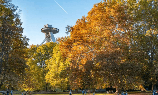 Sad Janka Kráľa Park