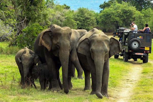 Safari in Periyar