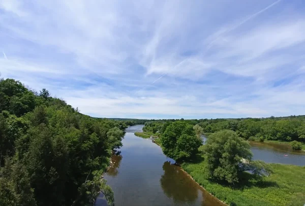 Stroll Along the Grand River