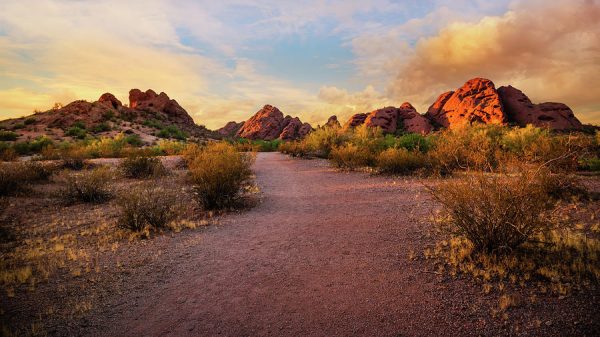 Sun at Papago Park