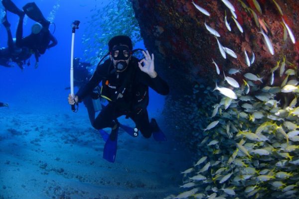Underwater World While Snorkeling