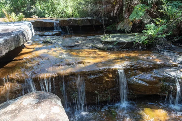 Waterfalls in the Illawarra Escarpment