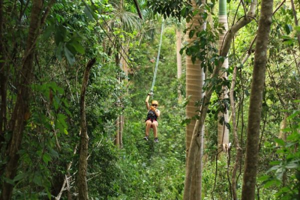 Ziplining Through the Rainforest