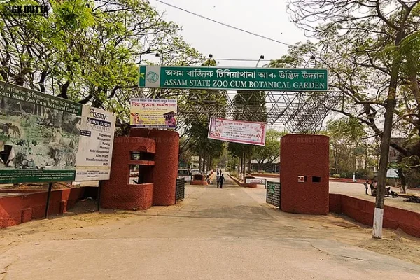 potting at Assam State Zoo and Botanical Garden