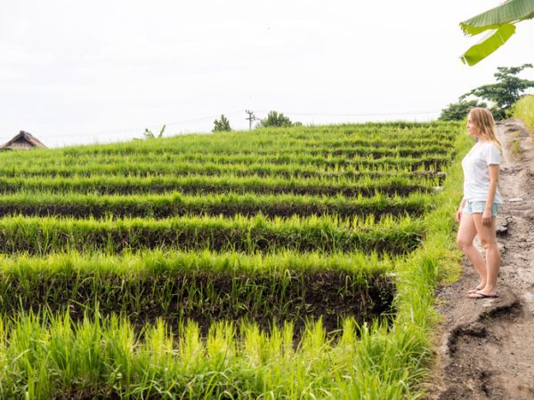 Canggu’s Rice Fields and Villages