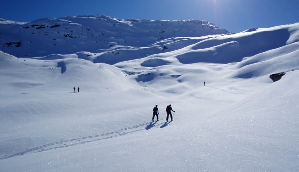 Cross-Country Ski in Winter