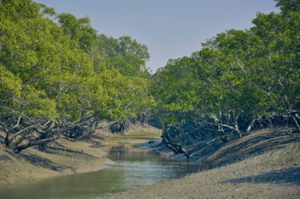 Sundarbans
