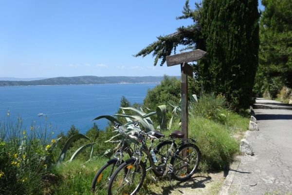 Bike Marjan Hill