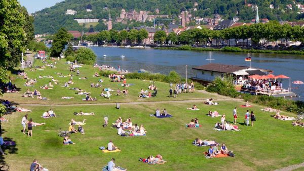 Neckarwiese (Neckar Meadow)