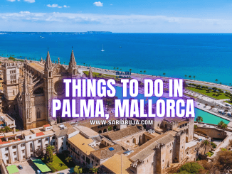 Things to Do in Palma