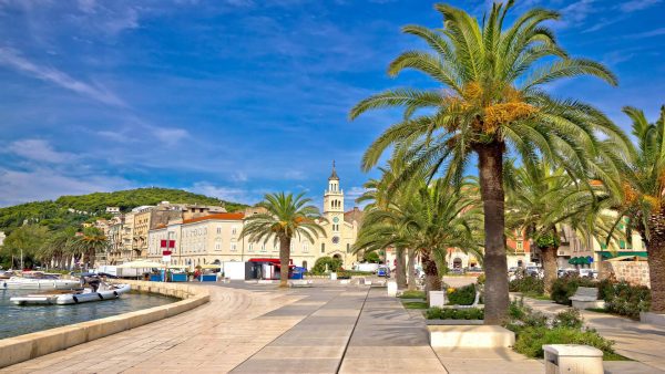 City,Of,Split,Palm,Waterfront,View,,Dalmatia,,Croatia