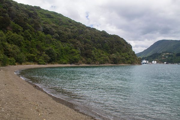 Shelly Beach or Bob’s Bay