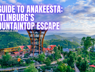Things to Do in Anakeesta