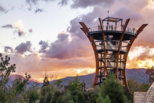 AnaVista Observation Tower