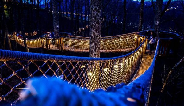 Astra Lumina at Night