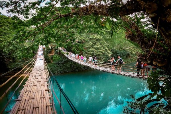 Bamboo Hanging Bridge