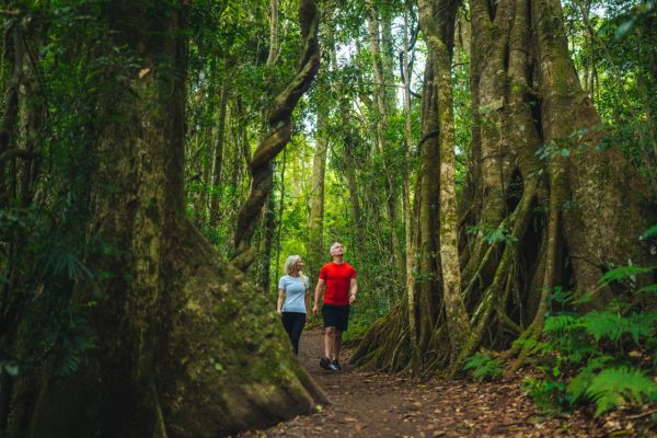 Lamington National Park