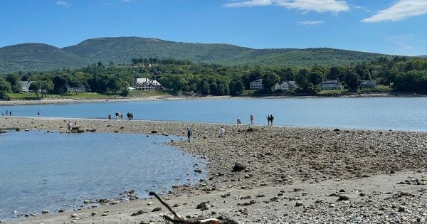 Land Bridge to Bar Island