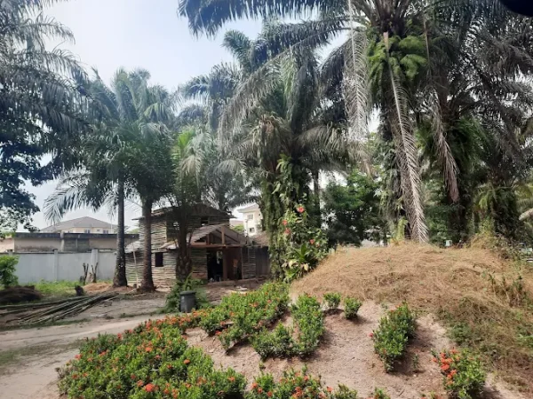 Lekki Urban Forestry