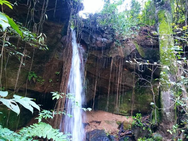 Nwaekpu Waterfall - Ezioha Mmaku