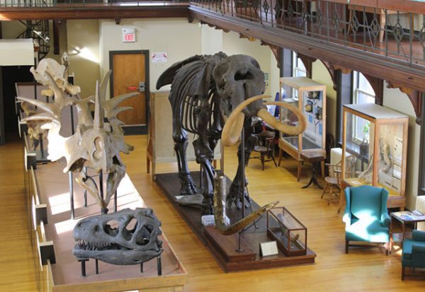 Rutgers Geology Museum