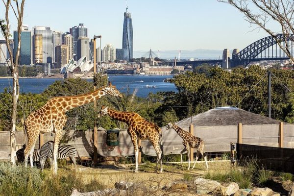 Taronga Zoo