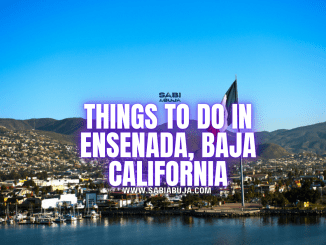 Things to Do in Ensenada