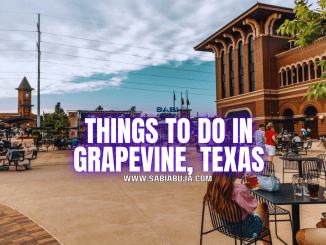 Things to Do in Grapevine