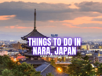 Things to Do in Nara