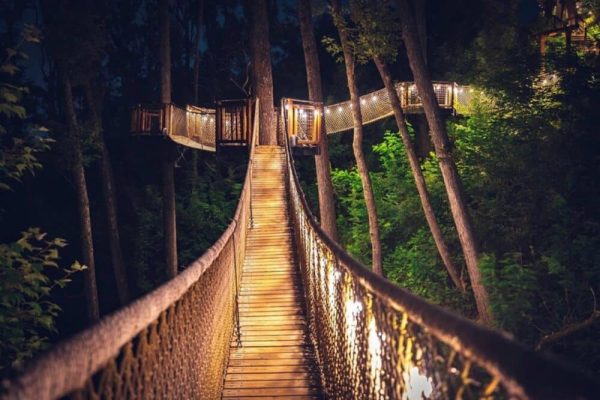 Treetop Skywalk