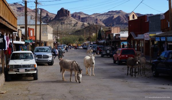 Visit a Ghost Town, Oatman, Arizona