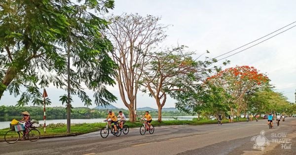 Bike Ride Through the Countryside