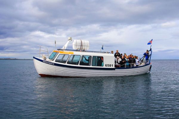 Boat Trip to See the Puffins