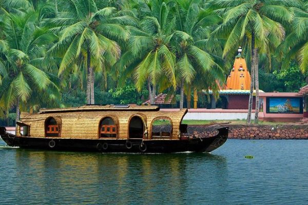 Cruise Through the Backwaters