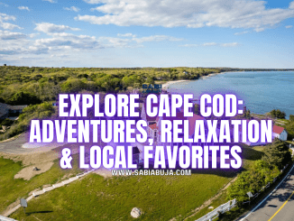 Things to Do in Cape Cod
