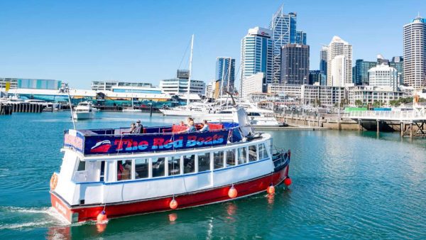 Harbour Cruise or Fishing Trip