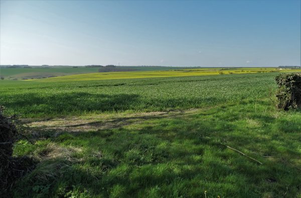 Lincolnshire Wolds