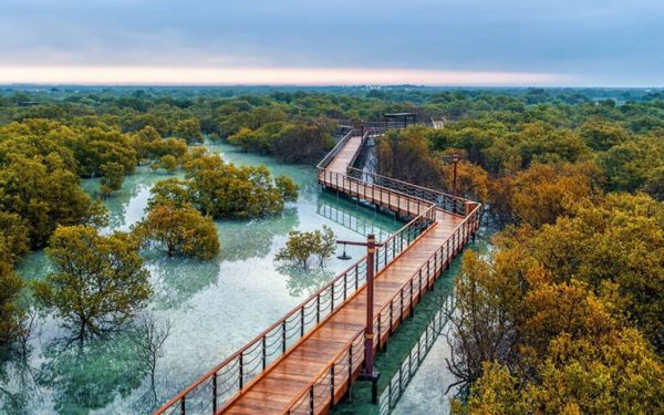 Mangrove National Park