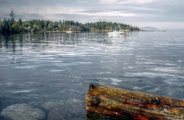 Paddleboard the Harbour
