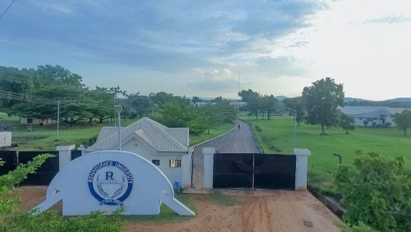 Renaissance University