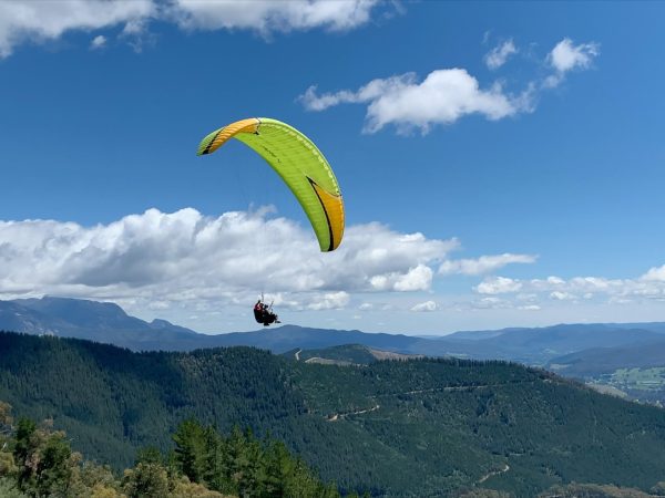 Scenic Flight or Paraglide
