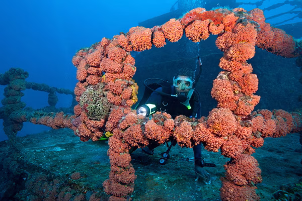 Scuba Diving at the Artificial Reefs