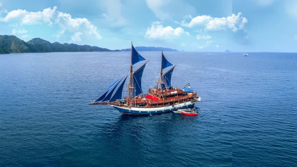 Sea Safari or Boat Trip