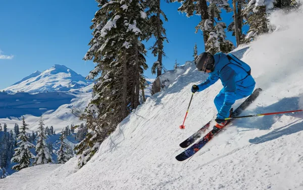 Skiing or Snowboarding in Winter