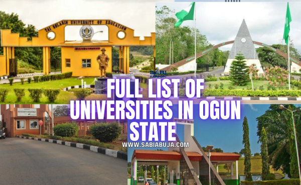 Universities in Ogun State
