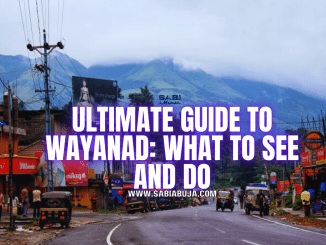 Ultimate Guide to Wayanad: What to See and Do