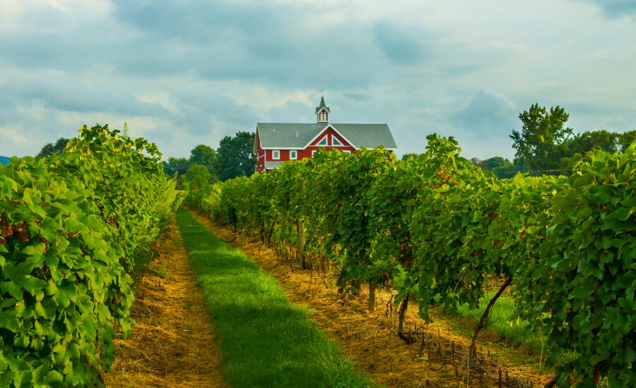 Erie Wine Country