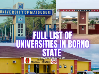 Universities in Borno State