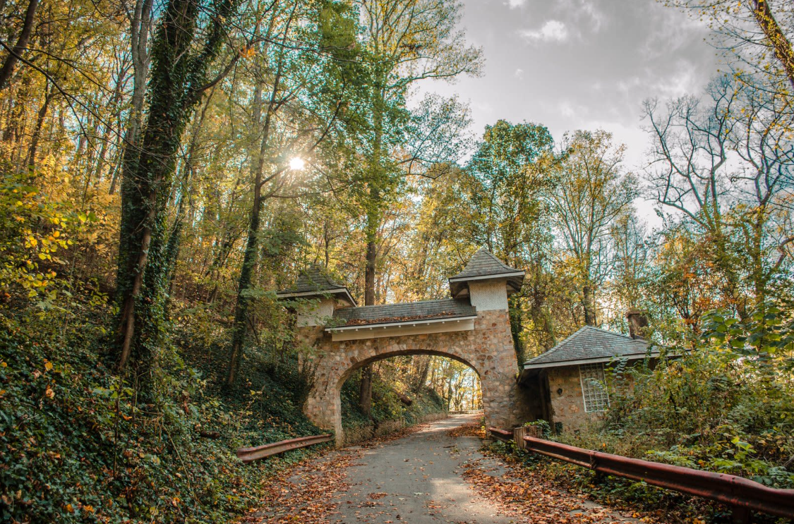 Hike Mill Mountain Trails