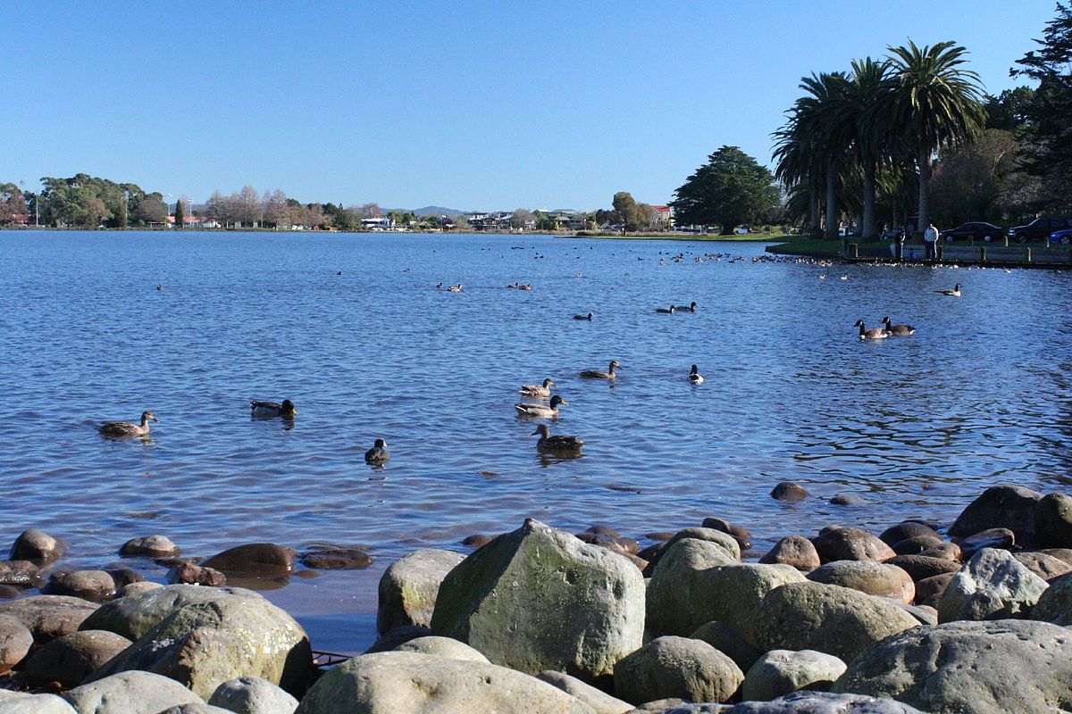 Lake Rotoroa (Hamilton Lake)